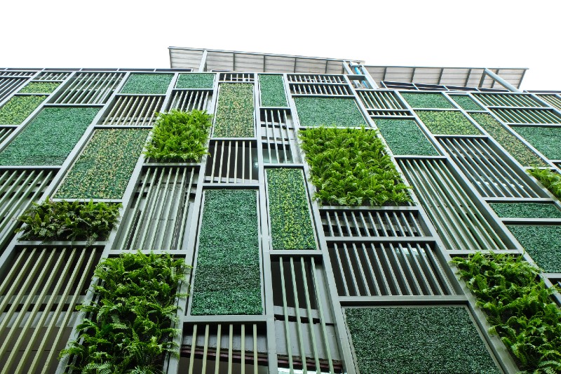 Green Wall - Sustainability. 