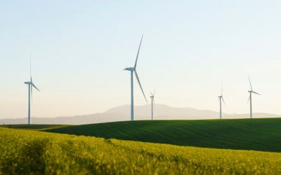 Delivering Sustainable Projects